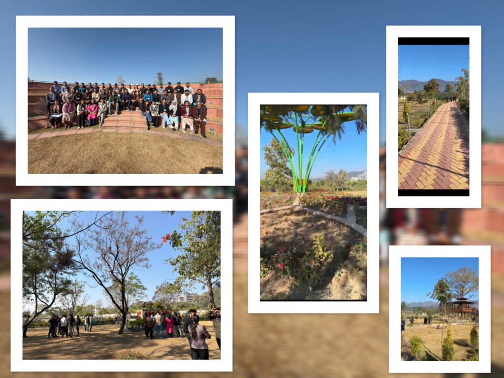 InShot_20251216_192159694